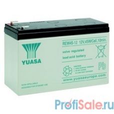 Yuasa Батарея для ИБП REW45-12 12V, 45W/Cell, 10min (691727)