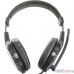 QUMO Champion GHS 0001 {стерео, интерфейс 3,5 Jack, с микрофоном} [21699]
