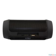 Ginzzu GM-994G (2х5Вт, 100Гц-18КГц, 2400мАч, Handsfree, AUX-in, TF/microSD, USB-flash, FM-radio, PowerBank