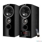 Ginzzu GM-301 черный {220В - 240В / 50 Гц 87,5-108,0 МГц }