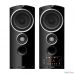 Ginzzu GM-301 черный {220В - 240В / 50 Гц 87,5-108,0 МГц }