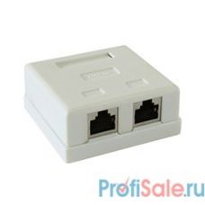 Gembird NAS214 Розетка  RJ-45 кат.STP 5e внешняя экранированная 2 порта, 110&Krone