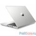 HP ProBook 455 G7 [2D235EA] Pike Silver 15.6" {FHD Ryzen 5 4500U/8Gb/256Gb SSD/W10Pro}