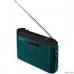 Perfeo радиоприемник цифровой ТАЙГА FM+ 66-108МГц/ MP3/ встроенный аккум,USB/морской синий (I70BL)