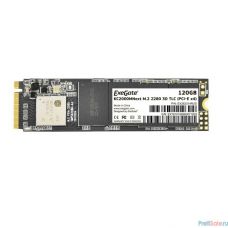 ExeGate SSD M.2 120GB Next Series EX282314RUS